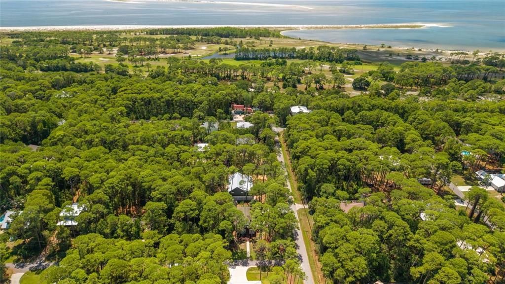 911 Lavigne Place, Dauphin Island, AL 36528 — photo 5