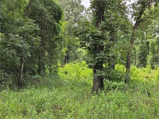TBD Ridge Way, Malakoff, TX 75148