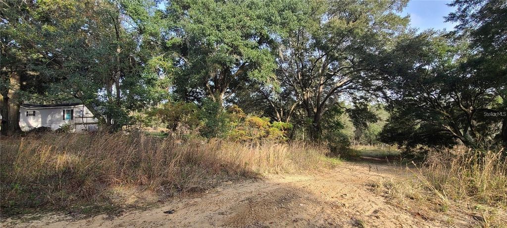17105 SE 252ND AVENUE, Umatilla, FL 32784
