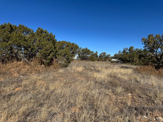 4 B Lois Court, Edgewood, NM 87015