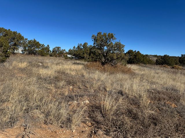 4 B Lois Court, Edgewood, NM 87015