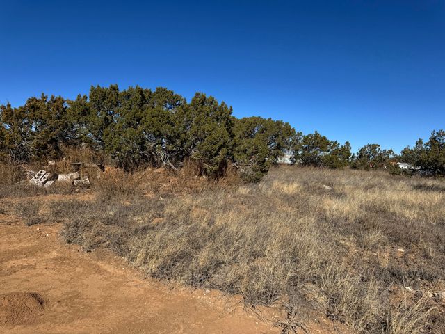 4 B Lois Court, Edgewood, NM 87015