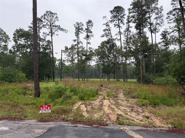 524 Echo Lane, Houston, TX 77336