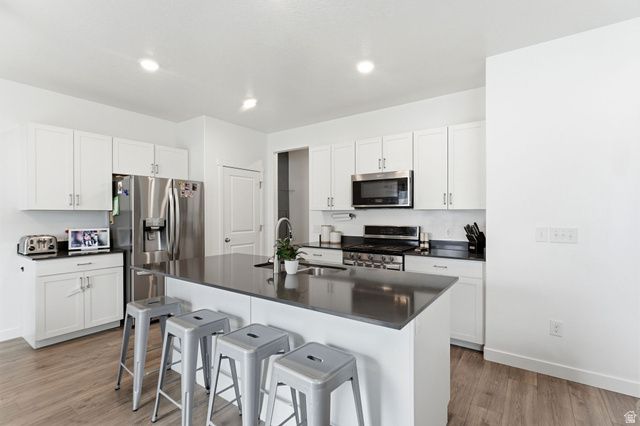 1171 S RAINTREE LN, Santaquin, UT 84655