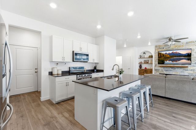 1171 S RAINTREE LN, Santaquin, UT 84655