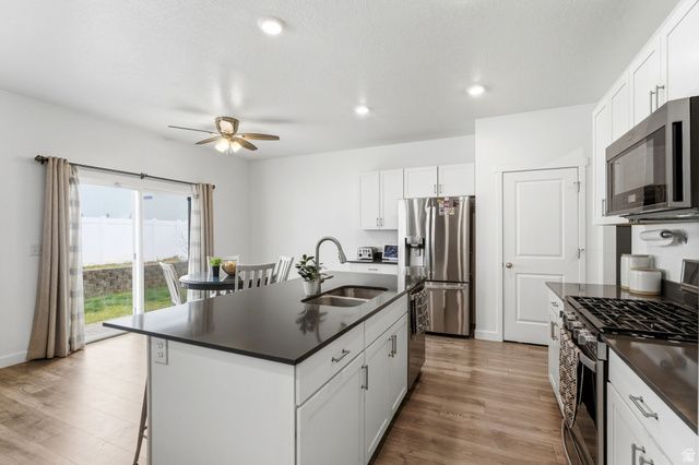 1171 S RAINTREE LN, Santaquin, UT 84655