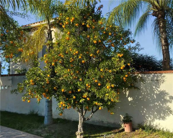 1008 Longview, Diamond Bar, CA 91765