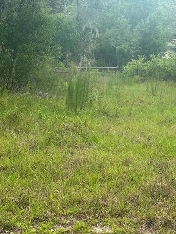 18890 SW 44TH STREET, Dunnellon, FL 34432
