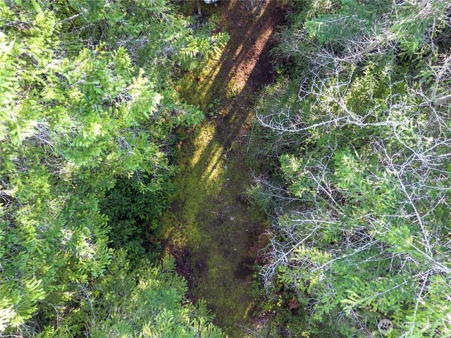 730 NE Black Bear Road, Belfair, WA 98528