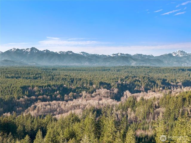 730 NE Black Bear Road, Belfair, WA 98528
