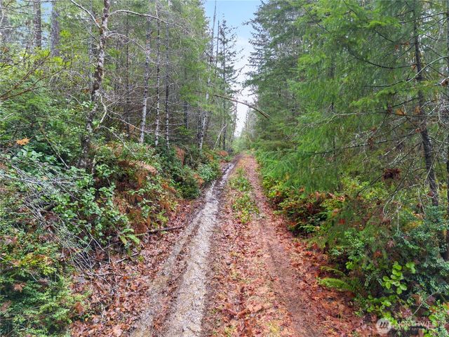 730 NE Black Bear Road, Belfair, WA 98528