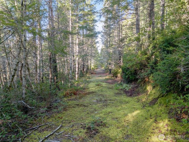 730 NE Black Bear Road, Belfair, WA 98528