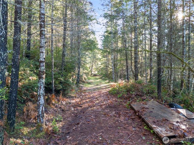 730 NE Black Bear Road, Belfair, WA 98528