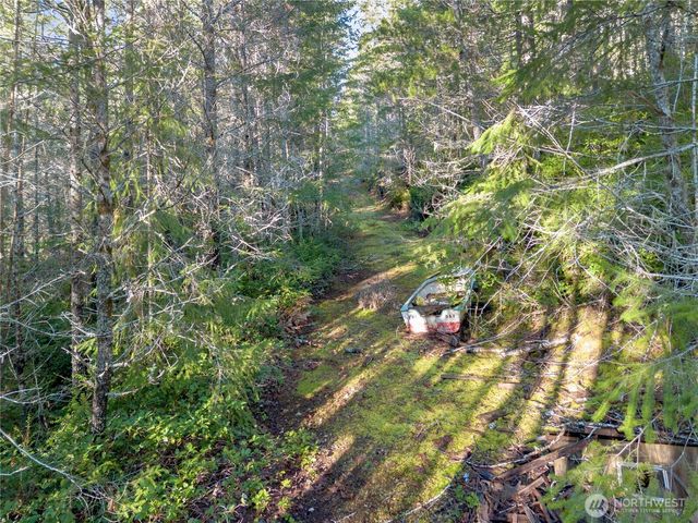 730 NE Black Bear Road, Belfair, WA 98528