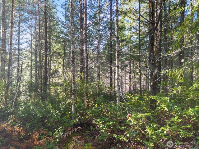 730 NE Black Bear Road, Belfair, WA 98528