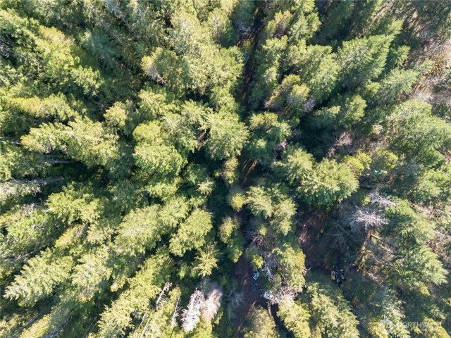 730 NE Black Bear Road, Belfair, WA 98528