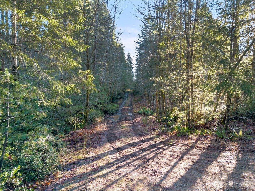 730 NE Black Bear Road, Belfair, WA 98528