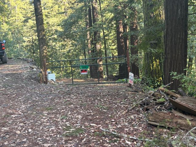 3665 Cazadero Hwy, Cazadero, CA 95421