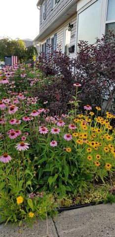 493 Kell Place, Seaford, NY 11783