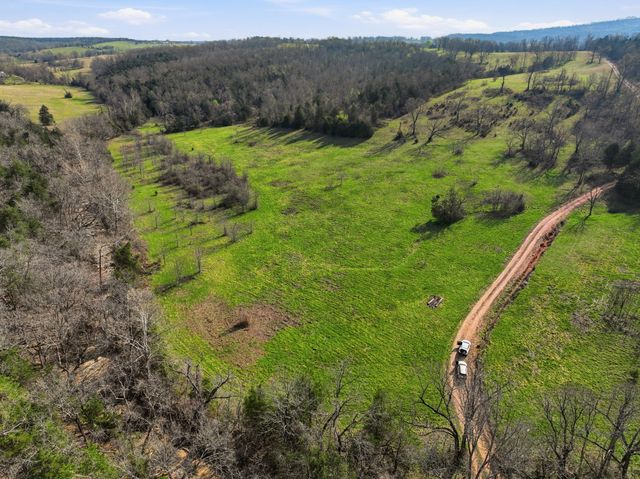 557 Hagewood Lane, Theodosia, MO 65761