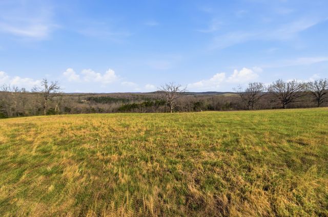 557 Hagewood Lane, Theodosia, MO 65761