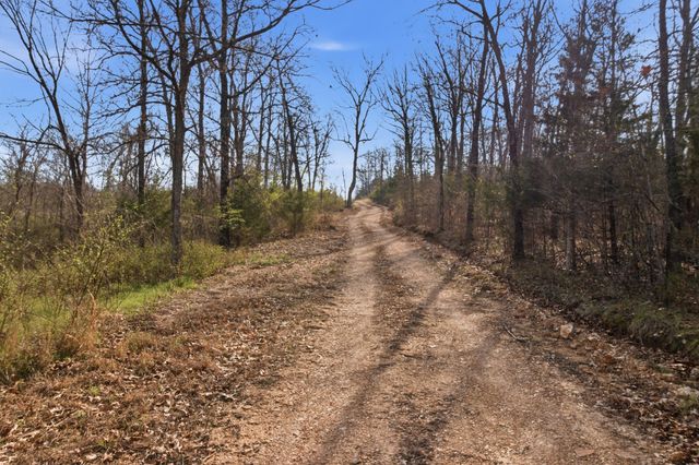 557 Hagewood Lane, Theodosia, MO 65761