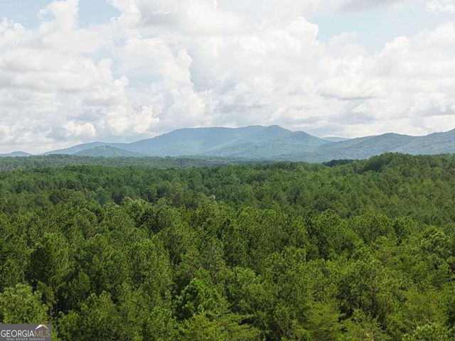 LT 4&5 Belltown Road 4 & 5, Copperhill, TN 37317