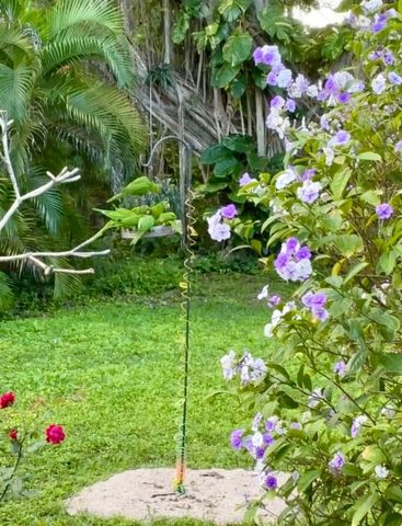 2834 Adams Street, Hollywood, FL 33020
