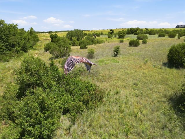 625 Hollow Drive, Lipan, TX 76462