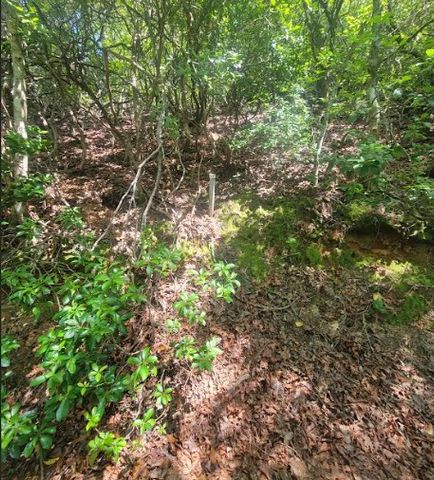 Lot 4&7 Julie Mountain Trail, Hayesville, NC 28904
