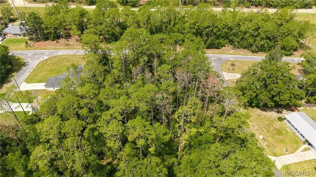 1320 W Sorrento Drive, Citrus Springs, FL 34434