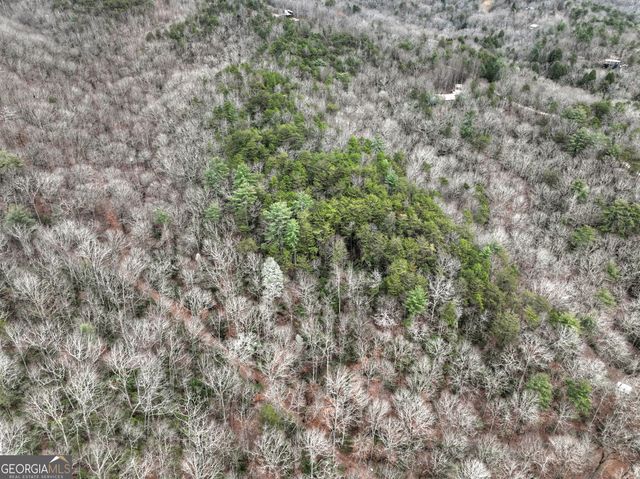 0 Spruill Drive, Ellijay, GA 30536