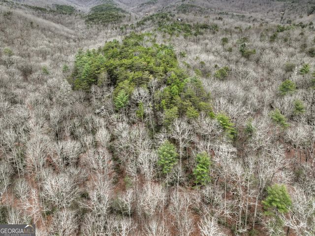 0 Spruill Drive, Ellijay, GA 30536