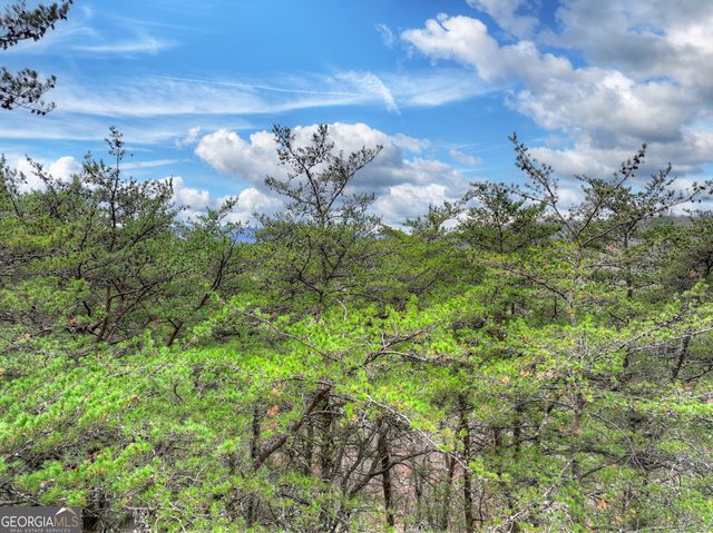 0 Spruill Drive, Ellijay, GA 30536