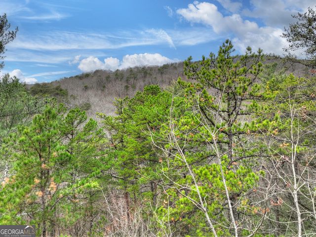 0 Spruill Drive, Ellijay, GA 30536