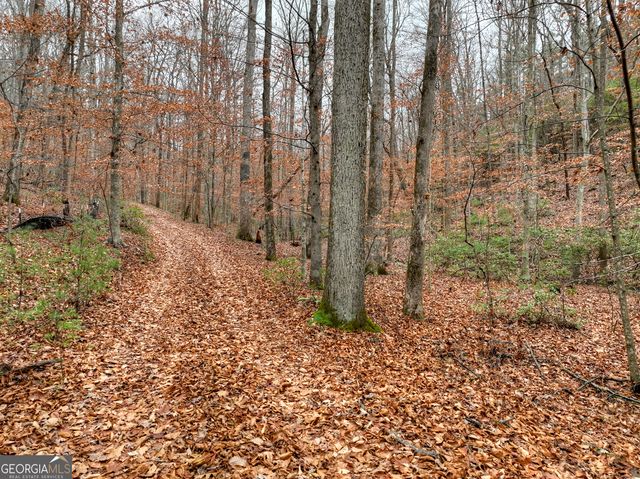 0 Spruill Drive, Ellijay, GA 30536