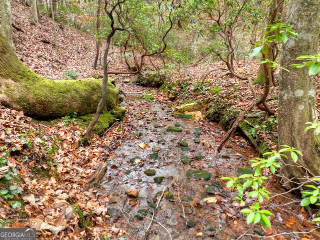 0 Spruill Drive, Ellijay, GA 30536