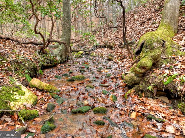 0 Spruill Drive, Ellijay, GA 30536