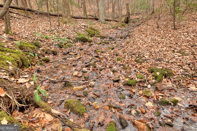 0 Spruill Drive, Ellijay, GA 30536