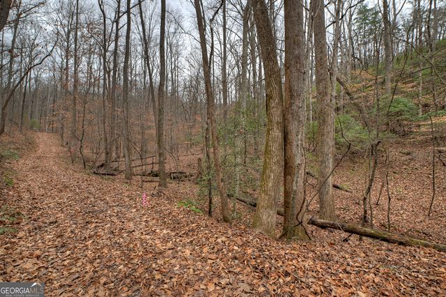 0 Spruill Drive, Ellijay, GA 30536