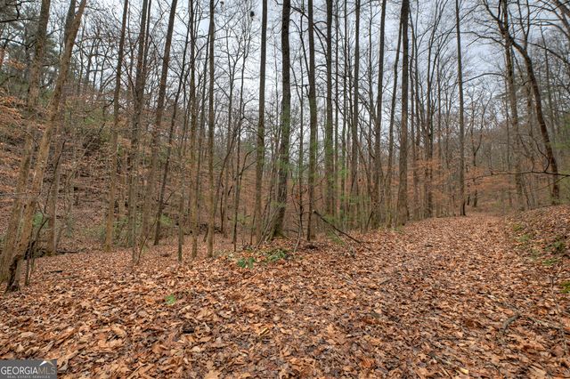 0 Spruill Drive, Ellijay, GA 30536