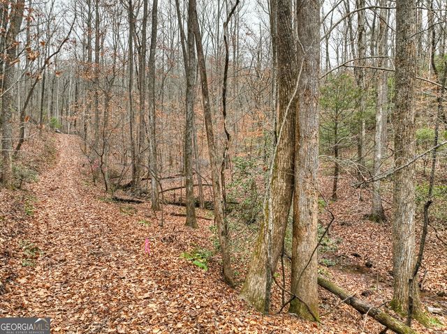 0 Spruill Drive, Ellijay, GA 30536