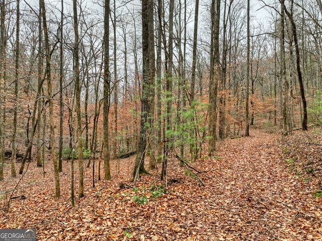 0 Spruill Drive, Ellijay, GA 30536