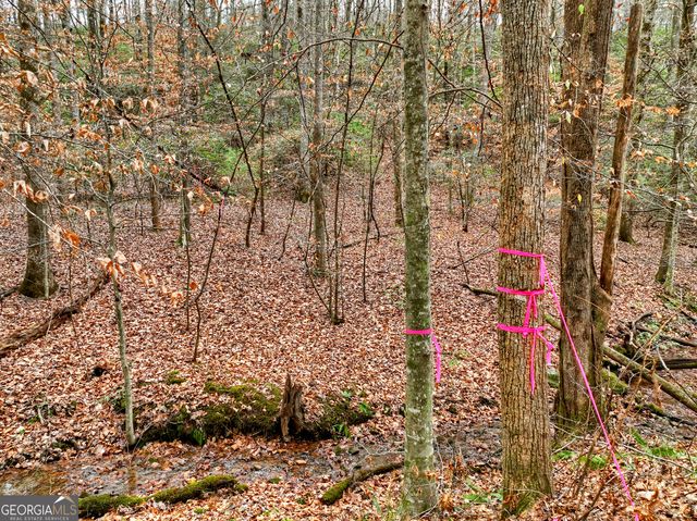 0 Spruill Drive, Ellijay, GA 30536