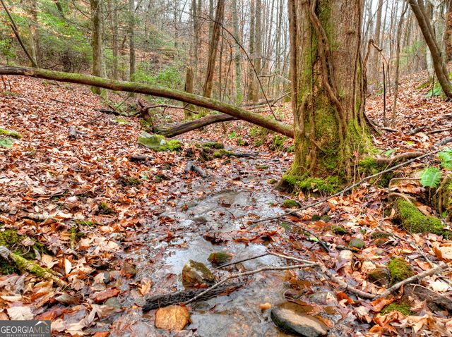 0 Spruill Drive, Ellijay, GA 30536