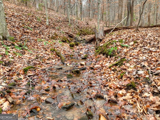 0 Spruill Drive, Ellijay, GA 30536