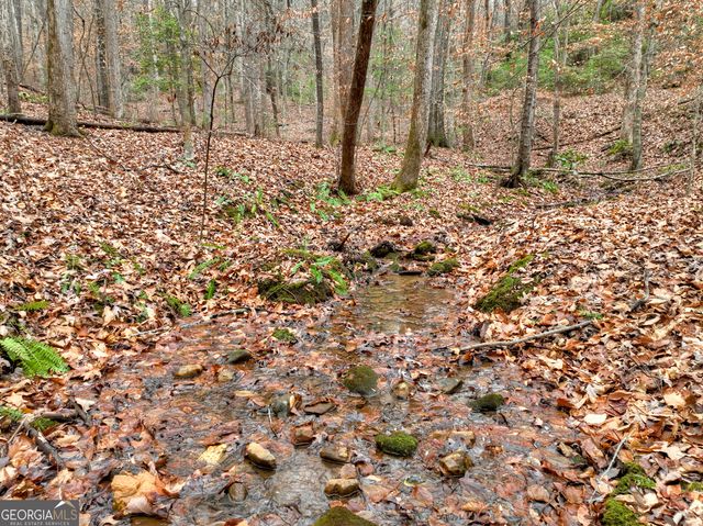 0 Spruill Drive, Ellijay, GA 30536