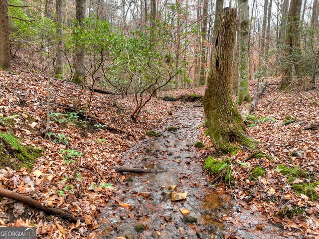 0 Spruill Drive, Ellijay, GA 30536