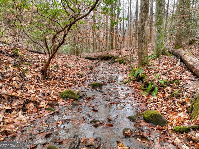 0 Spruill Drive, Ellijay, GA 30536