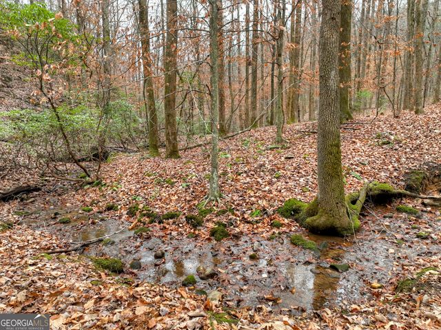 0 Spruill Drive, Ellijay, GA 30536